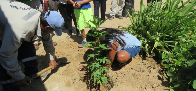 LANZAMIENTO DE CAMPAÑA ADOPTA UN ÁRBOL EN MIGUEL CHECA.