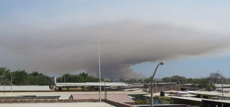 ✅REACTIVACIÓN Y CONFORMACIÓN DE LA COMISIÓN AMBIENTAL MUNICIPAL 2019.